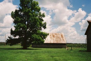 Olympus 35 RC, Barn, Tree, and Clouds