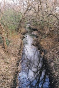 Vivitar XC-4, The Creek in the Ravine, Exposure Adjusted