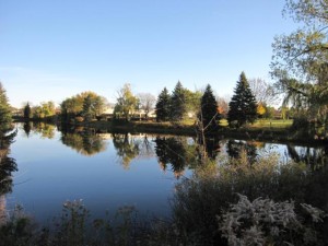 Canon SD880, Pond in Mount Prospect