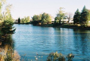 Pond 1