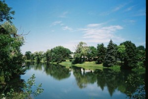 Yashica T4, Beautiful Pond, Mount Prospect, IL
